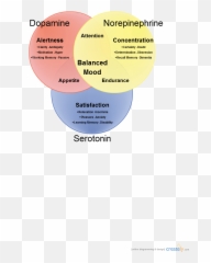 Dopamine Norepinephrine Serotonin - Emotion Neurotransmitters Emoji