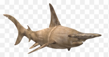 Free Hai Shark Illustrations - Swordfish Emoji