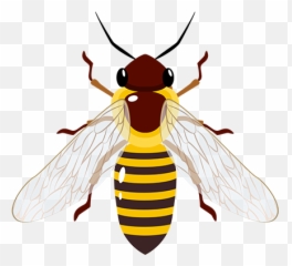 Safule Lociwi - Prato Decorativo Parede Porcelana Abelha Com Suporte Emoji,Dragonfly Emoji