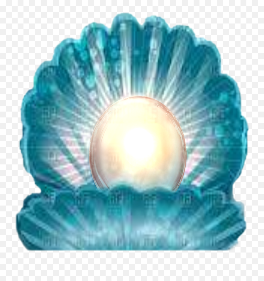 Pearl Clamp Seashell Seashells Shell - Sea Shell Clamp Emoji,Seashell Emoji