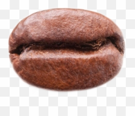 Coffeebean Bean Freetoedit - Emoji