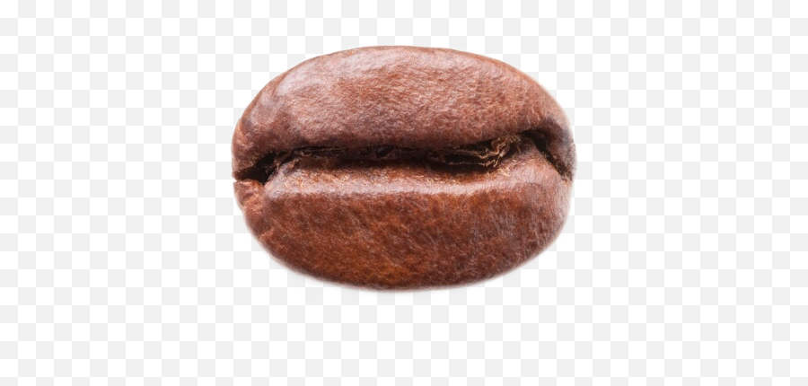 Coffeebean Coffee Bean Freetoedit - Coffee Bean Emoji,Coffee Bean Emoji