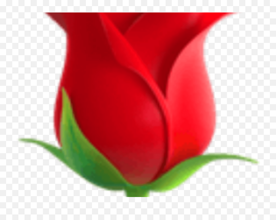 Flores Png Tumblr - Transparent Flower Emoji Flower Emoji Transparent Emoji Png Rose,Cherry Blossom Emoji