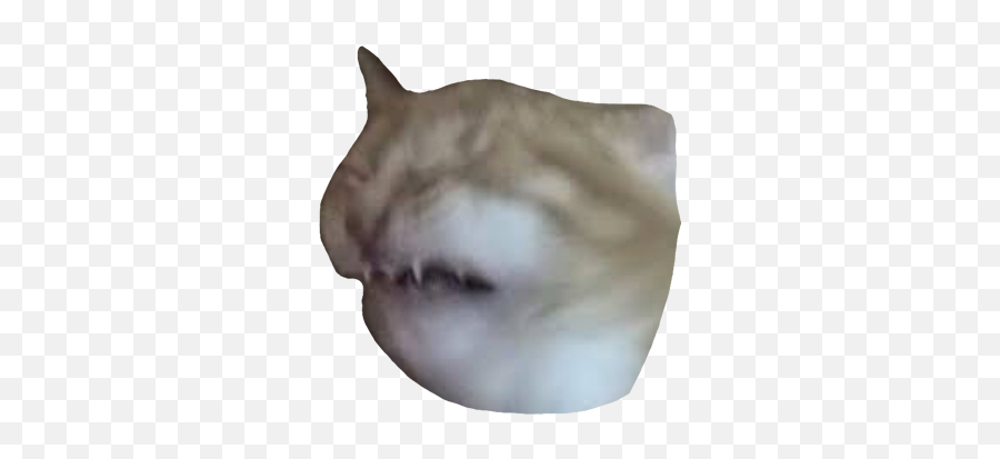 Cat Sneeze Sneezing Sticker By Cutecat3202 - Soft Emoji,Sneeze Emoji