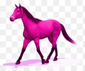 Horse Con Stickers For Android Ios - Gif Emoji