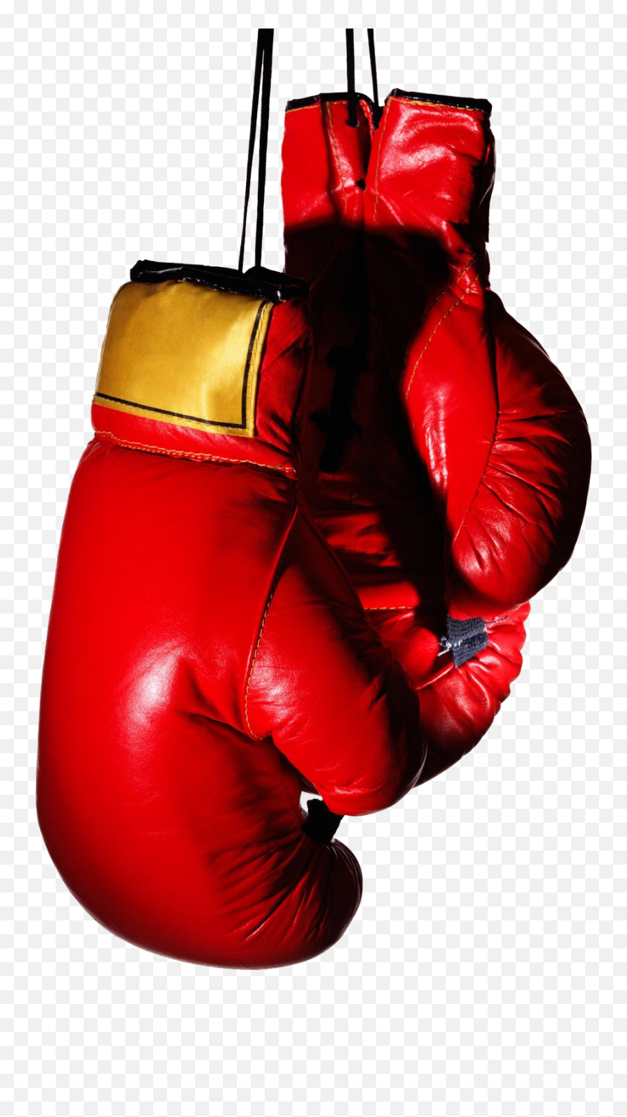 Boxing Glove Stock Photography Muay Thai - Transparent Background Boxing Gloves Png Emoji,Boxing Emoji