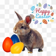 Ostern - Domestic Rabbit Emoji