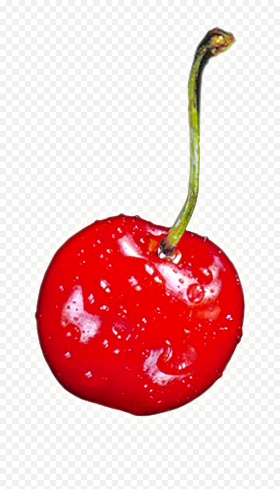 Free Cherry Clipart Png Download Free - Transparent Background Cherry Png Transparent Emoji,Emoji Cherry