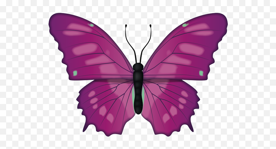 Emoji U2013 The Official Brand Purple Butterfly - Butterfly With Spreaded Wings,Butterfly Emoji