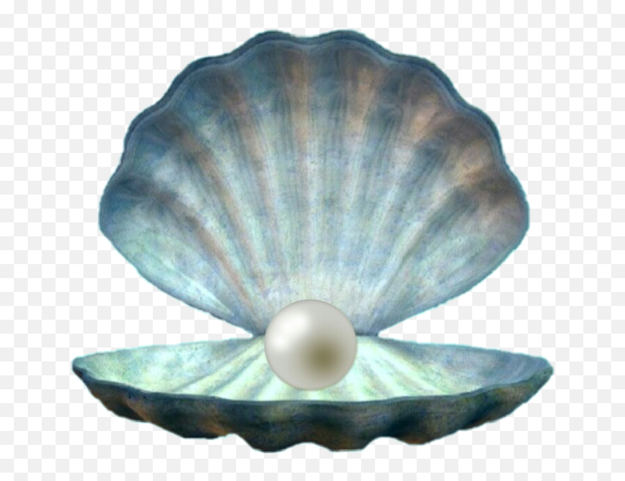 Seashell Shell Pearl Ocean Pretty Sea - 15 Ya Gece Kyafetleri Emoji,Seashell Emoji