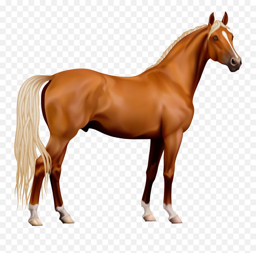 Horse Clipart Transparent Background - Transparent Horse Png Emoji,Horse And Muscle Emoji