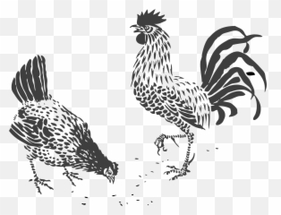 Drawing clipart hen Transparent FREE for - Hen And Rooster Vector Emoji