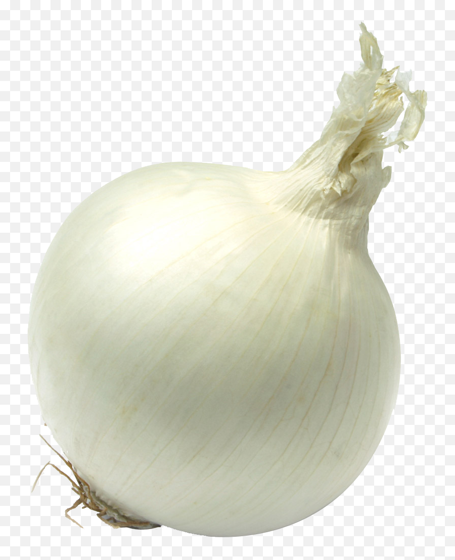 Free Transparent Onion Download Free - Single Vegetable Images Hd Emoji,Onion Emoji
