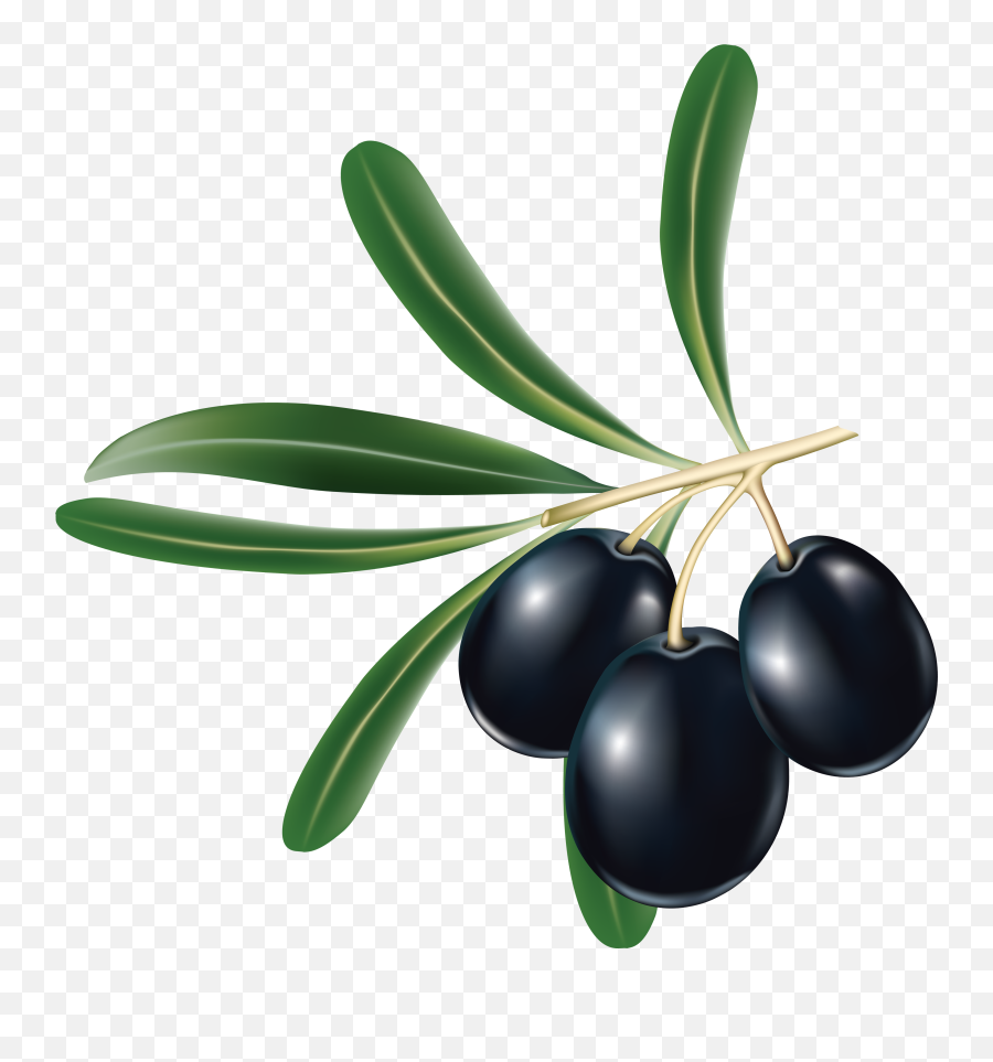 64 Olive Png Images Free To Download - Transparent Black Olives Png Emoji,Olive Emoji