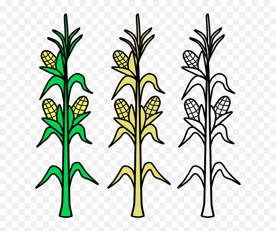 Free Crop Wheat Illustrations - Silhouette Corn Stalks Clipart Emoji,Marijuana Emoticon
