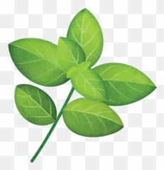 Free Vectors Graphics Psd Files - Checkers Little Garden Seeds Emoji,Basil Emoji