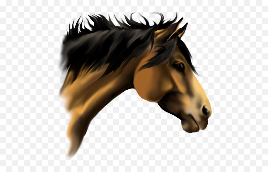 Horse Face Clipart - Horse Png Side Face Emoji,Horse Face Emoji