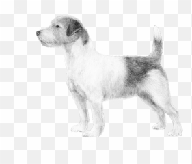 Lets Talk - Companion Dog Emoji