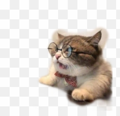 Fax - Sad Cat With Computer Emoji,Fax Emoji