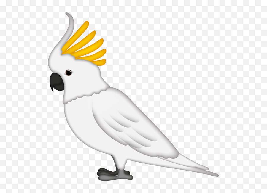 Sulphur - Cockatoo Emoji,White Bird Emoji