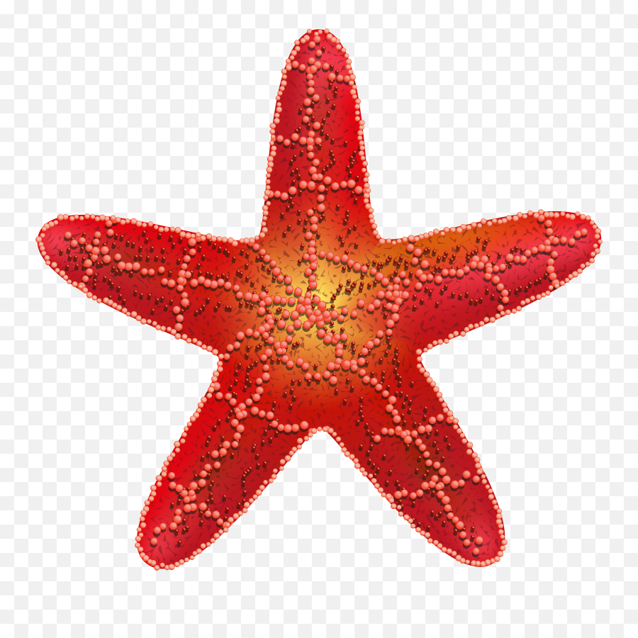 Starfish Png Images Free Download - Portable Network Graphics Emoji,Starfish Emoji