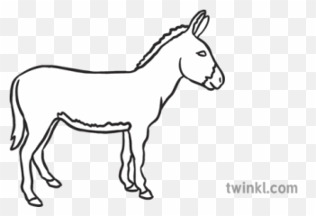 Donkey Emoji Icon Xmas Phone Topics Mixed Calculations Mojimaths - Mane,Donkey Emoji