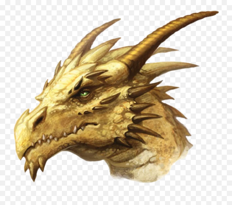 Dragon Face Png Picture - Gold Dragon Pathfinder Emoji,Dragon Face Emoji