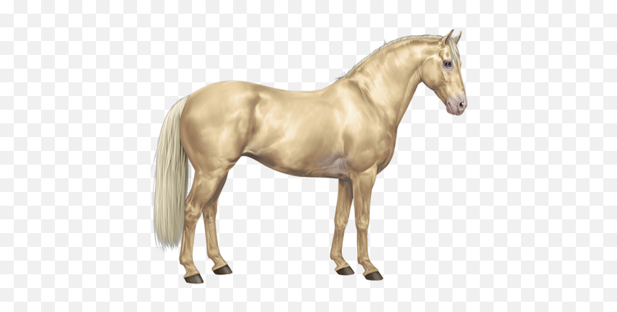 Ivory Amber Champagne Horse Png Image - Equiverse Paint Horse Emoji,Champagne Toast Emoji