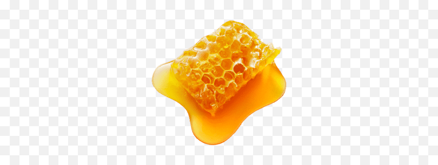 Honey Transparent Emoji Tattoo Picture - Manuka Honey Image Png,Tattoo Emoji