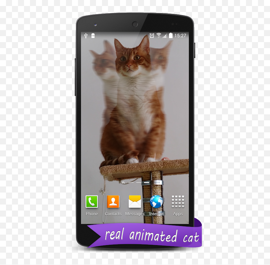 Live Hd Cat Wallpaper 10b64004 Download Apk For Android - Domestic Cat Emoji,Cat Emoji Keyboard