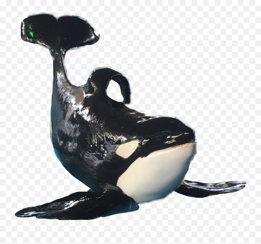 Largest Collection Of Free - Toedit Killer Stickers On Picsart Killer Whale Emoji,Emoji Free Whale