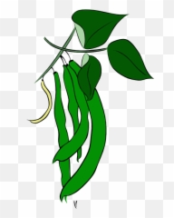 Plant clipart string bean Transparent - Yellow Beans Clipart Emoji