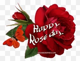 Dying Swan Stickers For Android Ios - Happy Rose Day Sticker Emoji,Dying Rose Emoji
