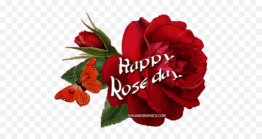 Dying Swan Stickers For Android Ios - Happy Rose Day Sticker Emoji,Dying Rose Emoji