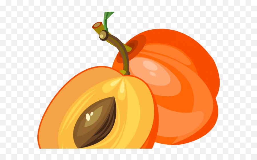 Peach Clipart Apricot - Fruit Vector Png Emoji,Apricot Emoji