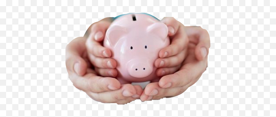 Pig Pinkpig Piggybank Bank Hands Child - Financial Assistance Emoji,Piggy Bank Emoji