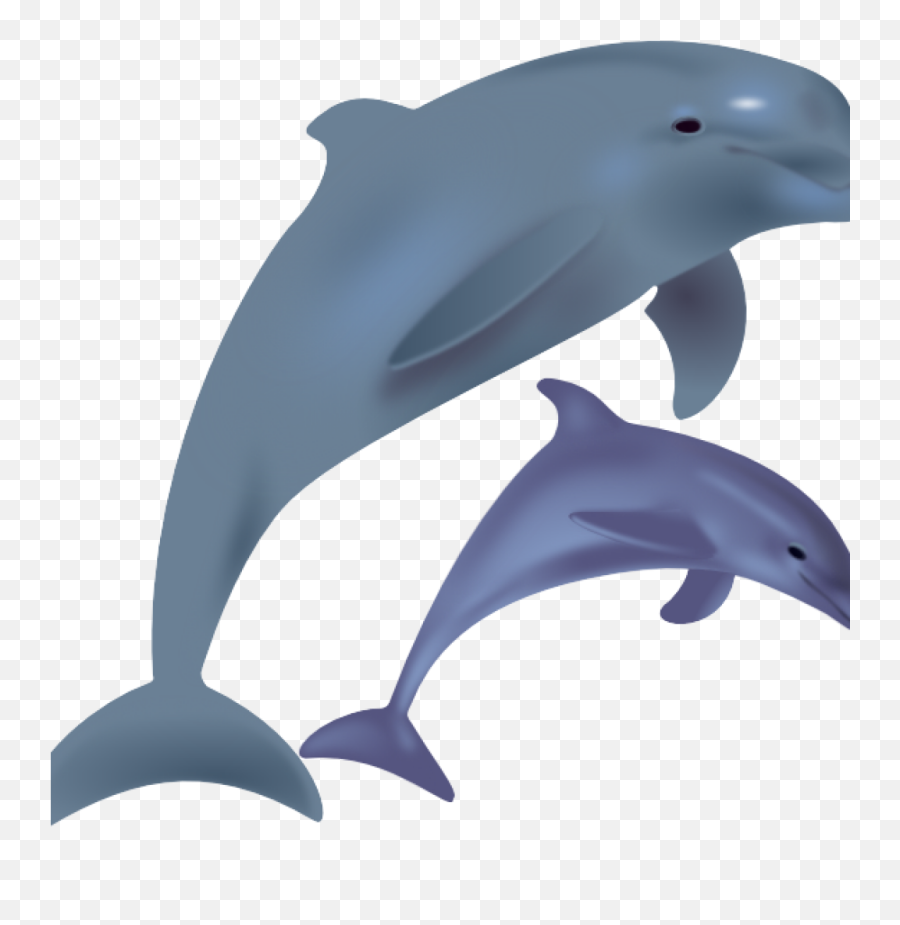 Color Clipart Dolphin Color Dolphin - Clip Art Dolphin Png Emoji,Dolphin Emoji