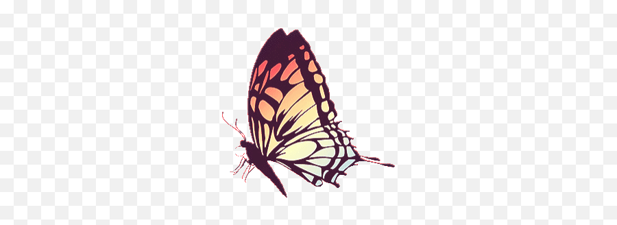 Top Hawk Feathers Stickers For Android U0026 Ios Gfycat - Butterfly Animated Gif Emoji,Dragonfly Emoji