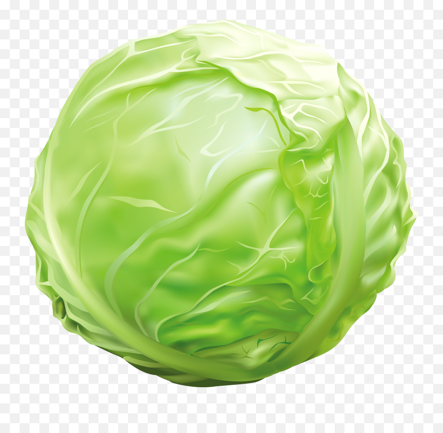 Cabbage Clipart Cabbage Transparent Free For Download On - Clip Art Of Cabbage Emoji,Cabbage Emoji