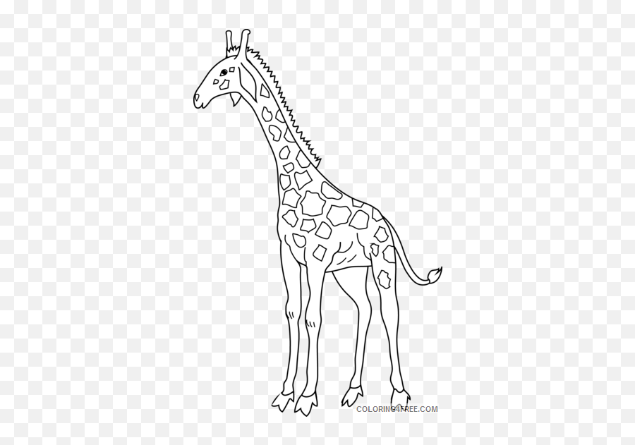 Black And White Giraffe Coloring Pages Giraffe 81 Png - Tall Giraffe Clip Art Black And White Emoji,Giraffe Emoji