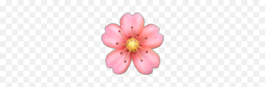Flor Flower Emoji Emojis Sticker - Girly,Emoji Flower