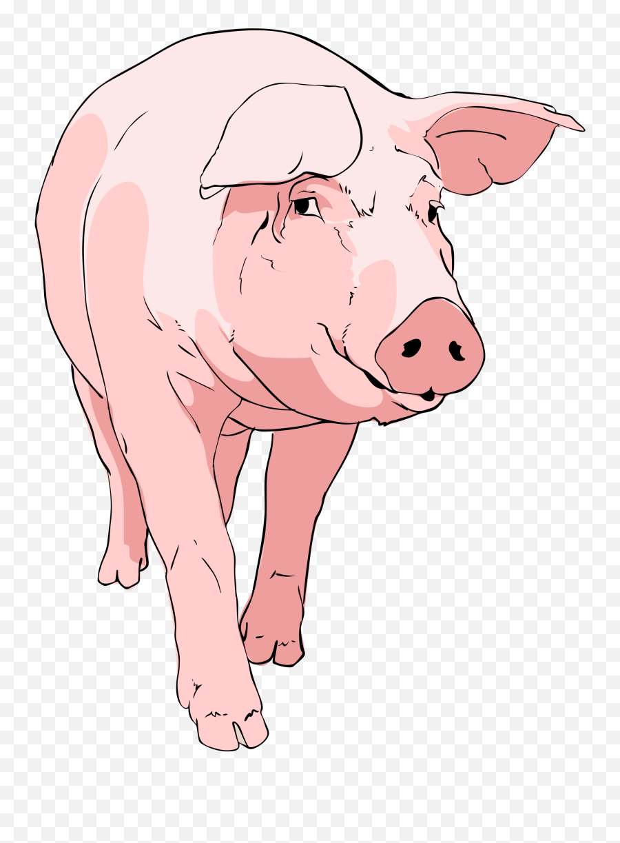 Free Transparent Pig Download Free Clip Art Free Clip Art - Pig Clipart Emoji,Piglet Emoticon