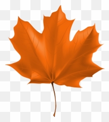 Free Maple Leaf Transparent Background Download Free Clip - Fall Leaf Clipart Png Emoji,Maple Leaf Emoji