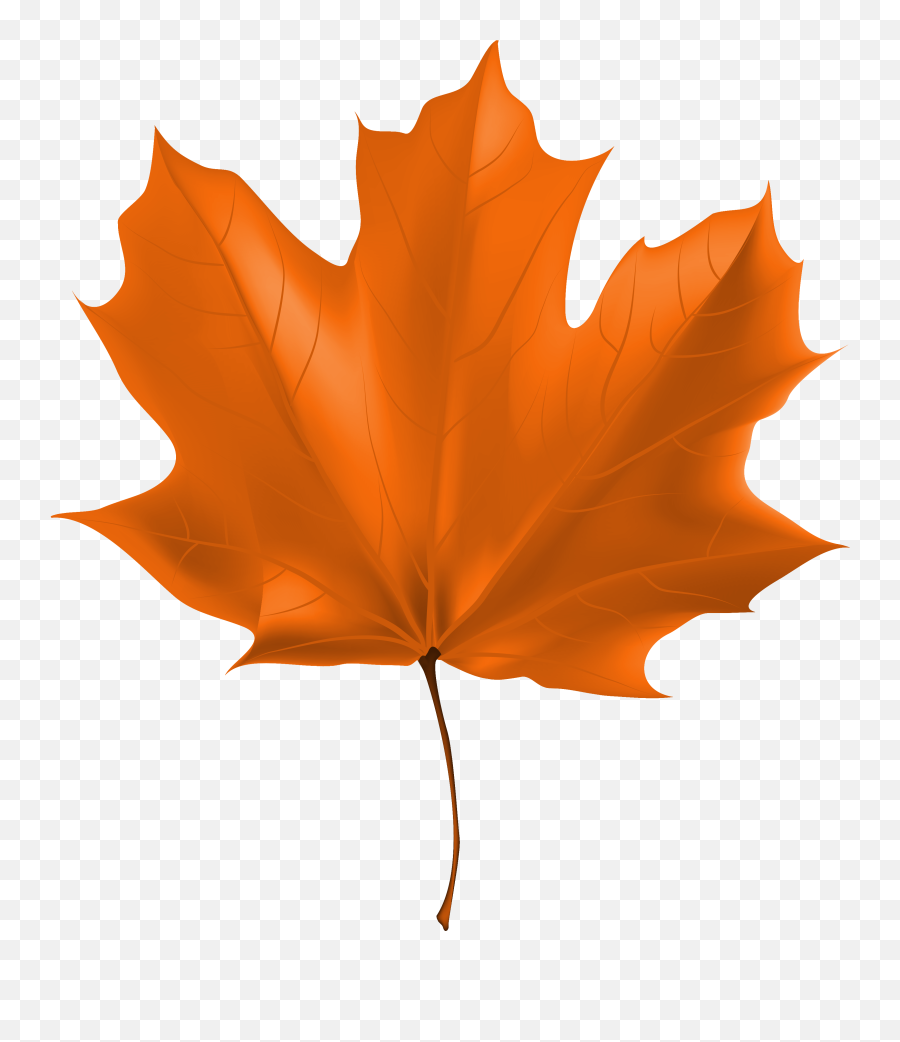 Free Maple Leaf Transparent Background Download Free Clip - Fall Leaf Clipart Png Emoji,Maple Leaf Emoji