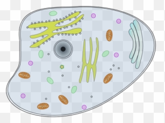 Dyr Celle Vector Illustrasjon - Animal Cell Clip Art Emoji,Spider Emoji