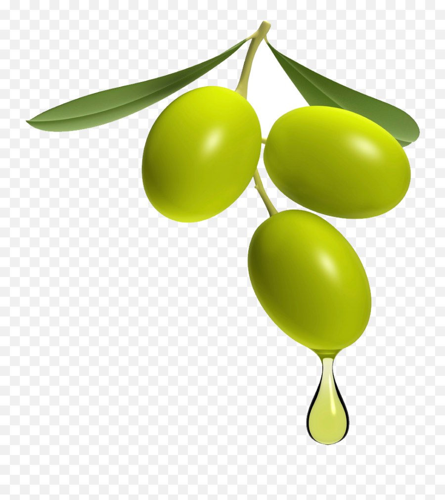 279668 Png Free Clipart - Olive Png Emoji,Olive Emoji