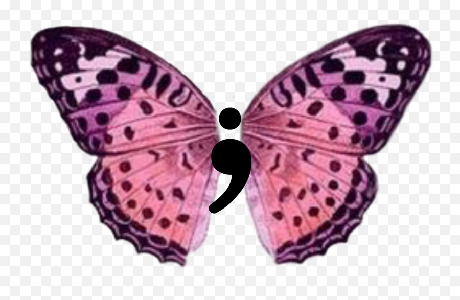 A Butterfly Symbolizes Change And A Semi Colon Shows - Orange Teal Butterfly Emoji,Colon Emoji