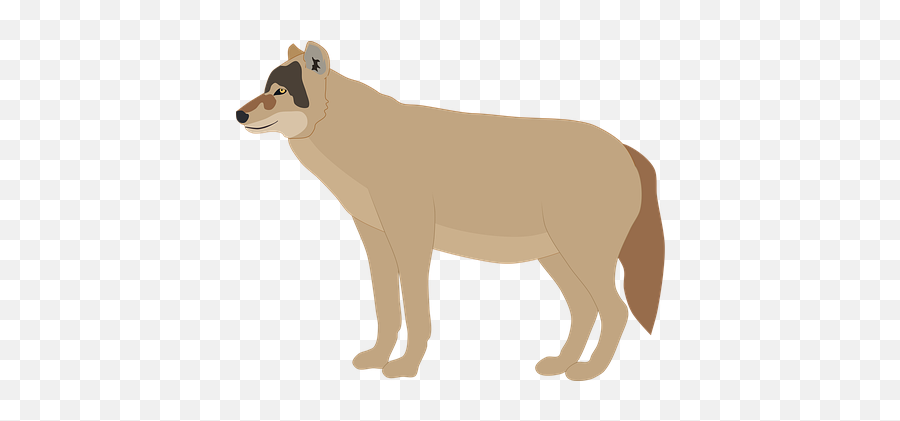 Free Wolf Animal Vectors - Lion Emoji,Wolf Emoji Png