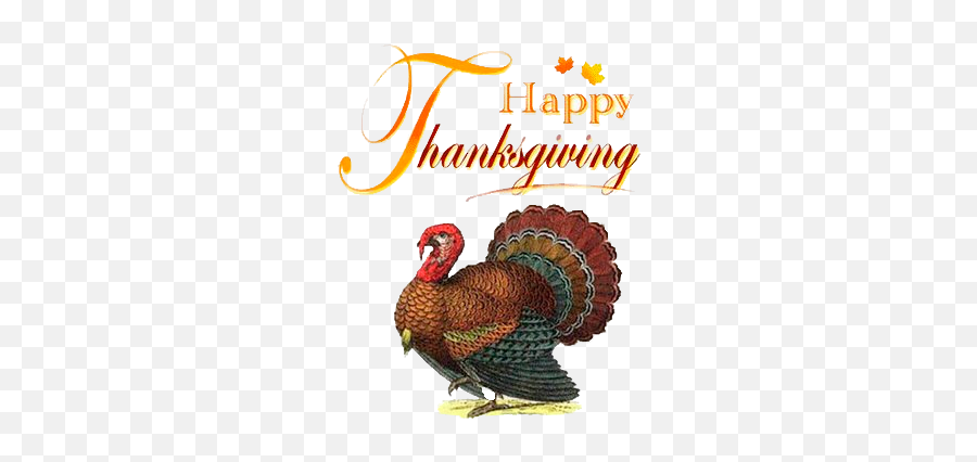 2016 Thanksgiving Charlie Brown Wallpapers U0026 Clipart Photos - Turkey Pics For Thanksgiving Emoji,Happy Thanksgiving Emoji