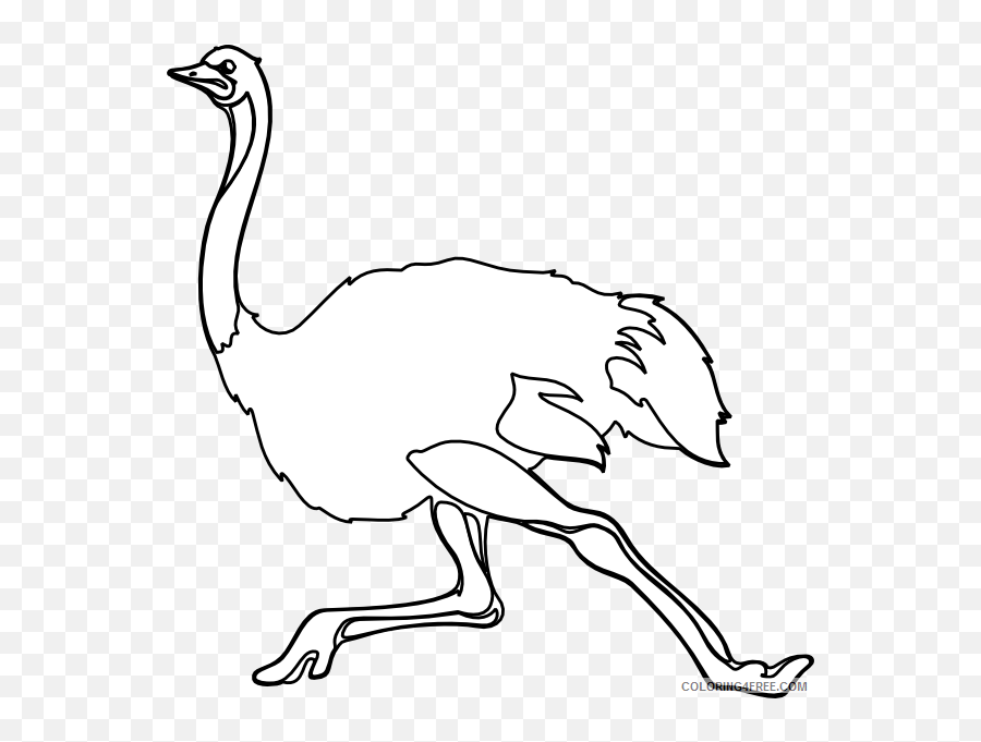 Ostrich Coloring Pages Ostrich Outline At Printable - Ostrich Clipart Black And White Free Emoji,Ostrich Emoji
